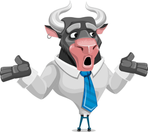 bull
