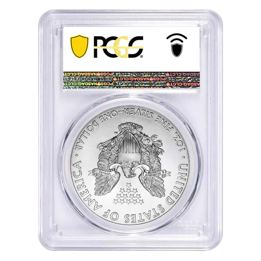 2023年 PCGS MS-70 FIRST STRIKE イーグル銀貨 の+banymir.ru